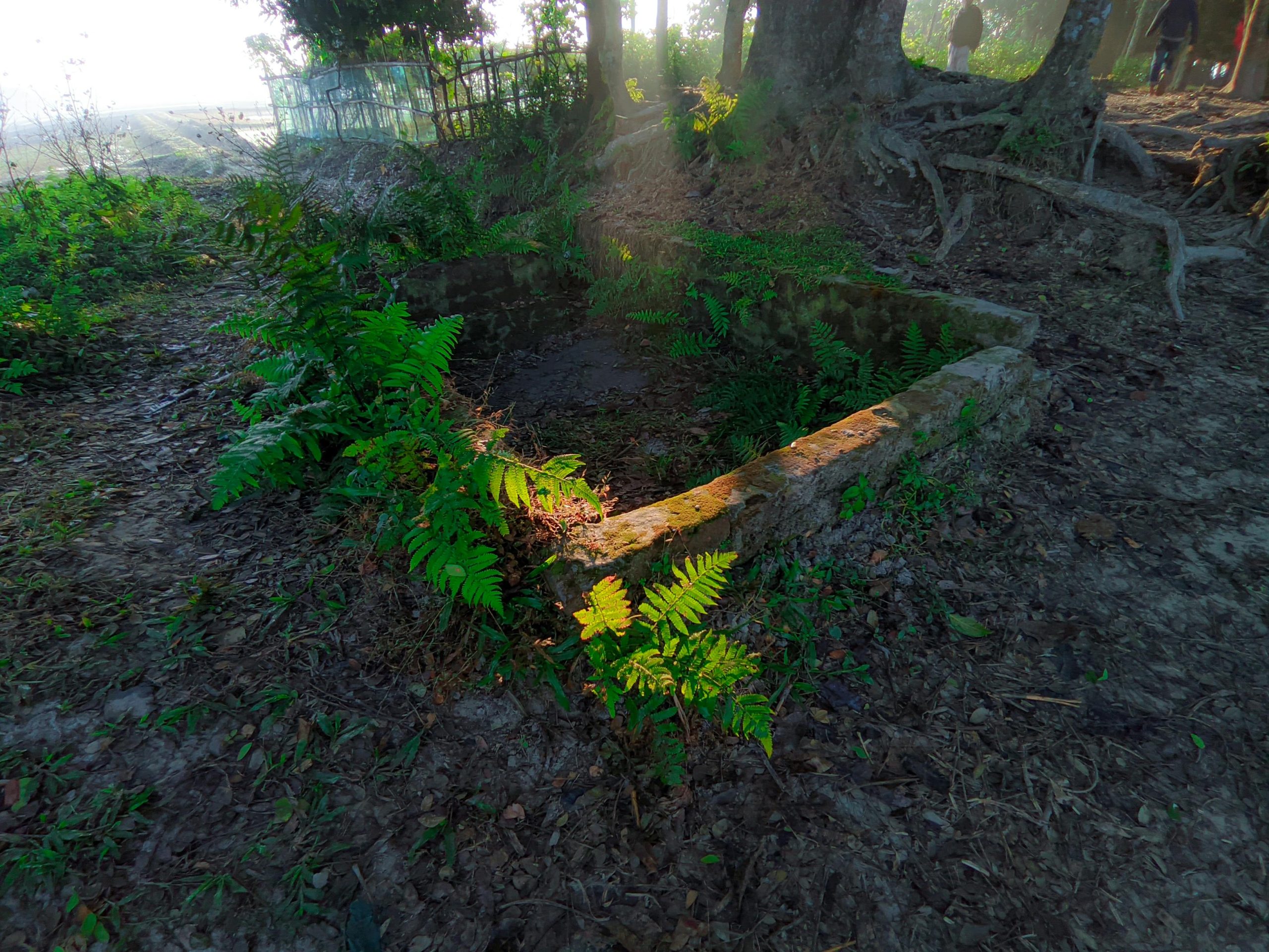 Screen To Heart: Film Lessons On Love conflict,growth,rowboat lake