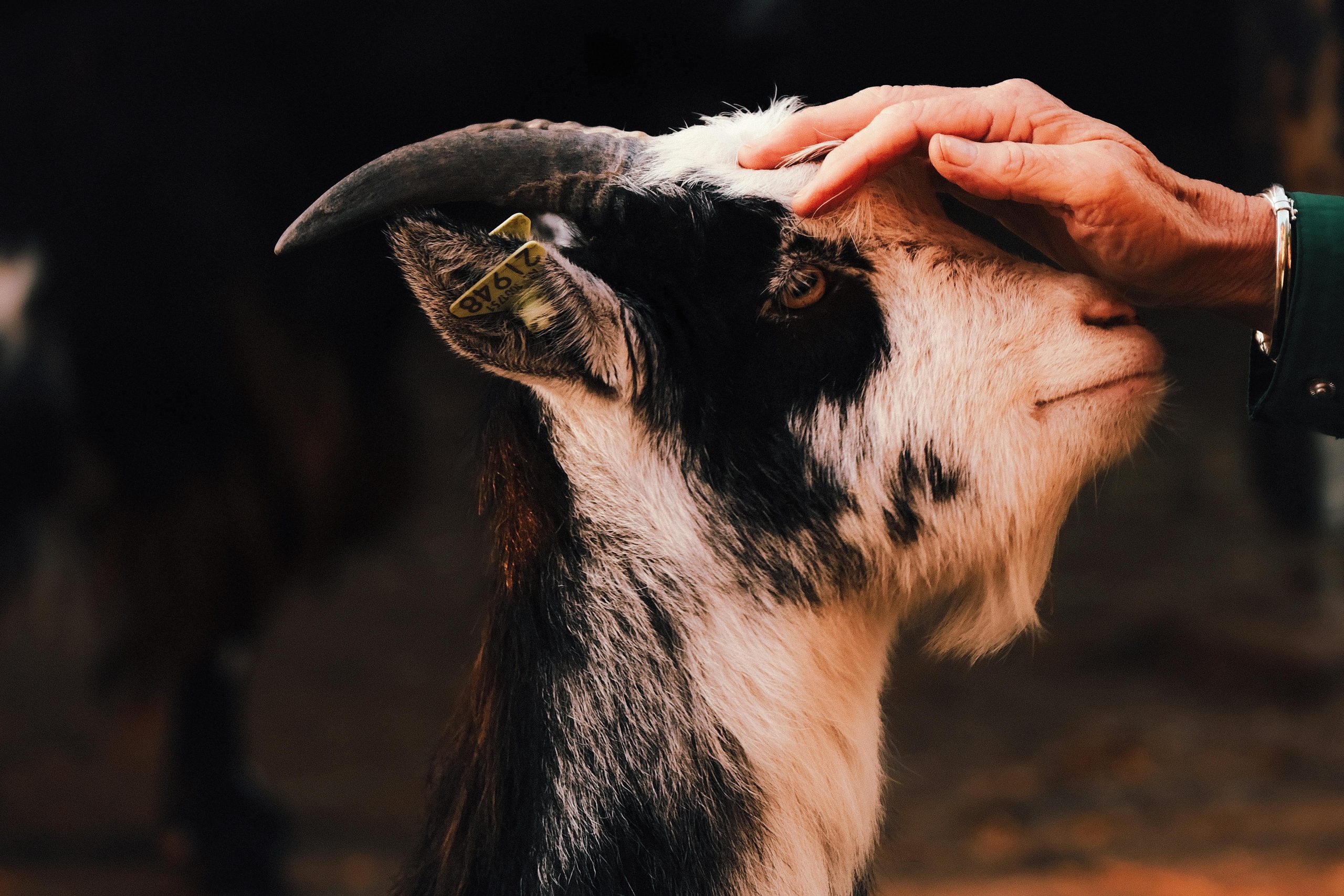 kindness,micromoments