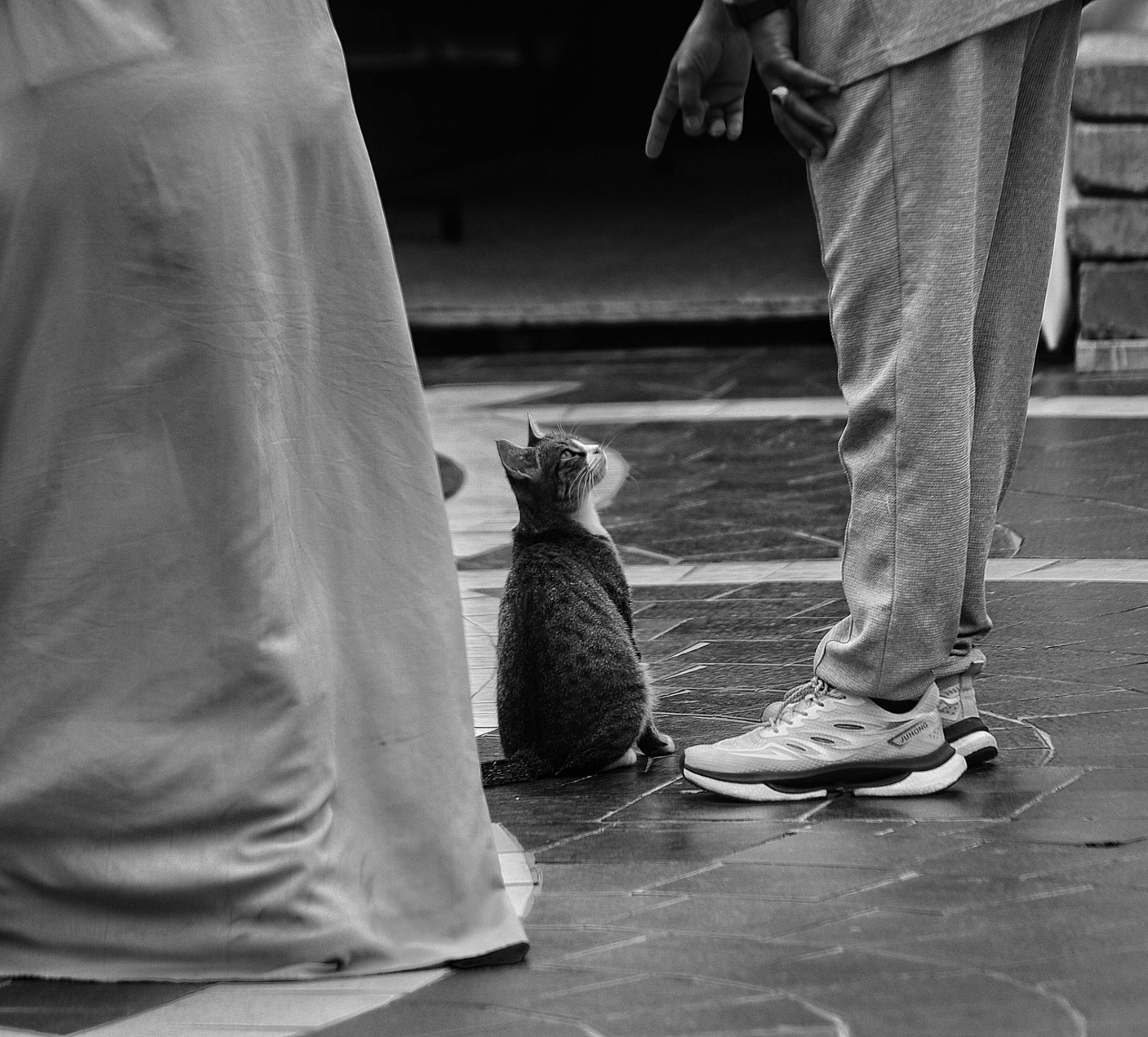 curiosity,conversation