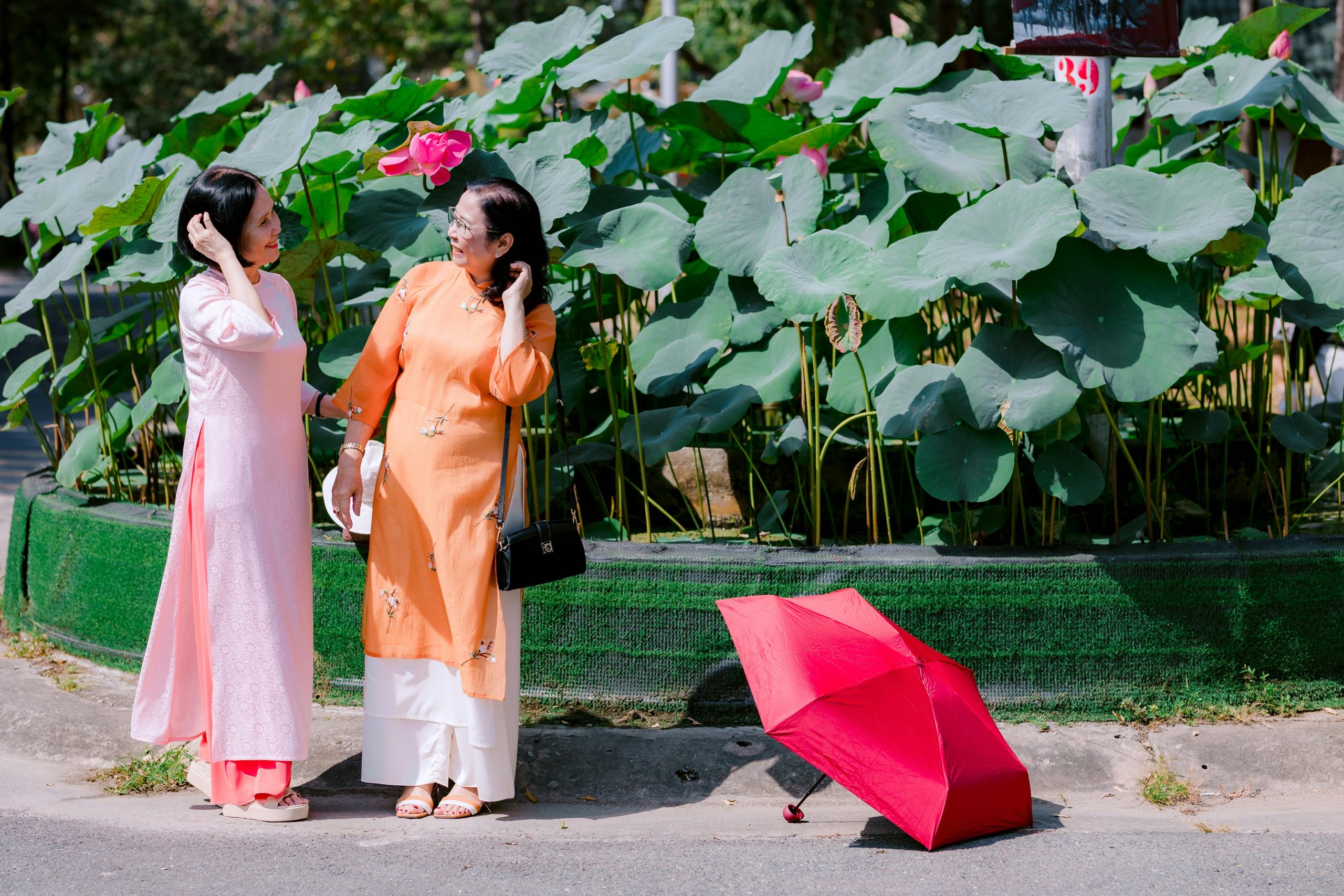 balcony-garden,shared-chores